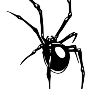 ADESIVO ARANHA 11X7