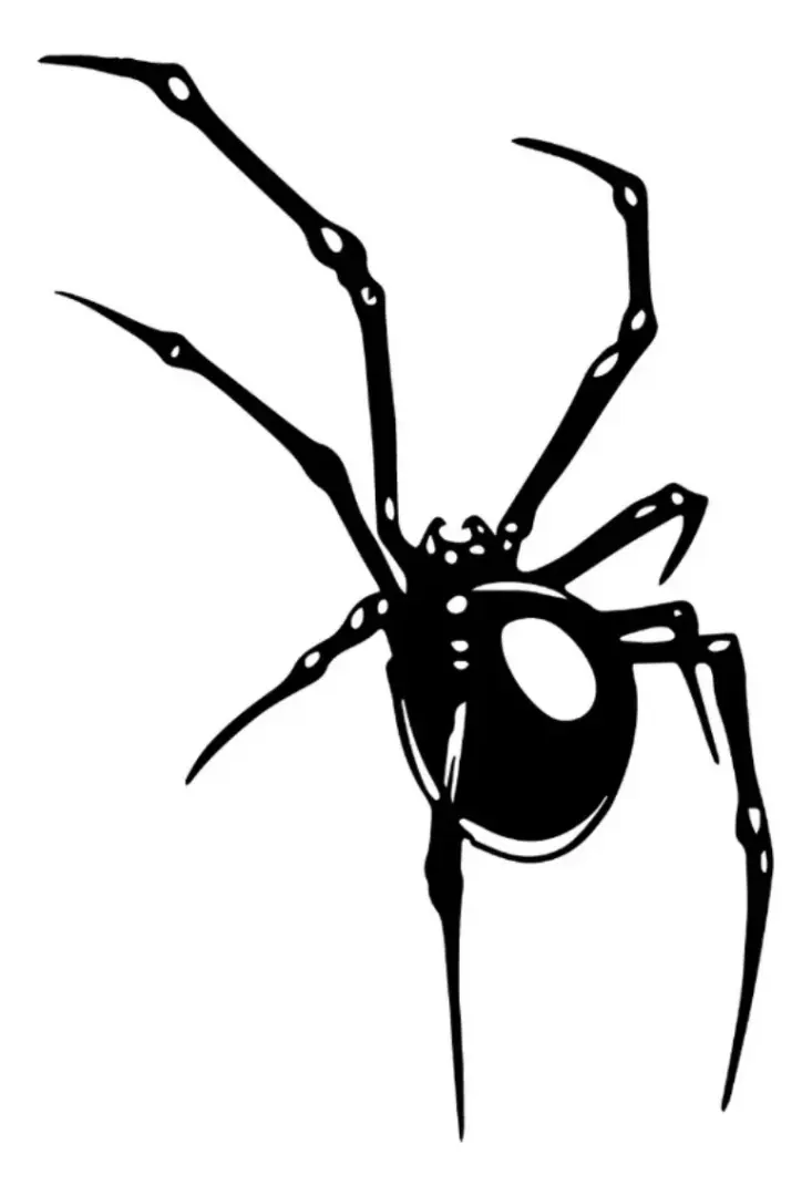 ADESIVO ARANHA 11X7