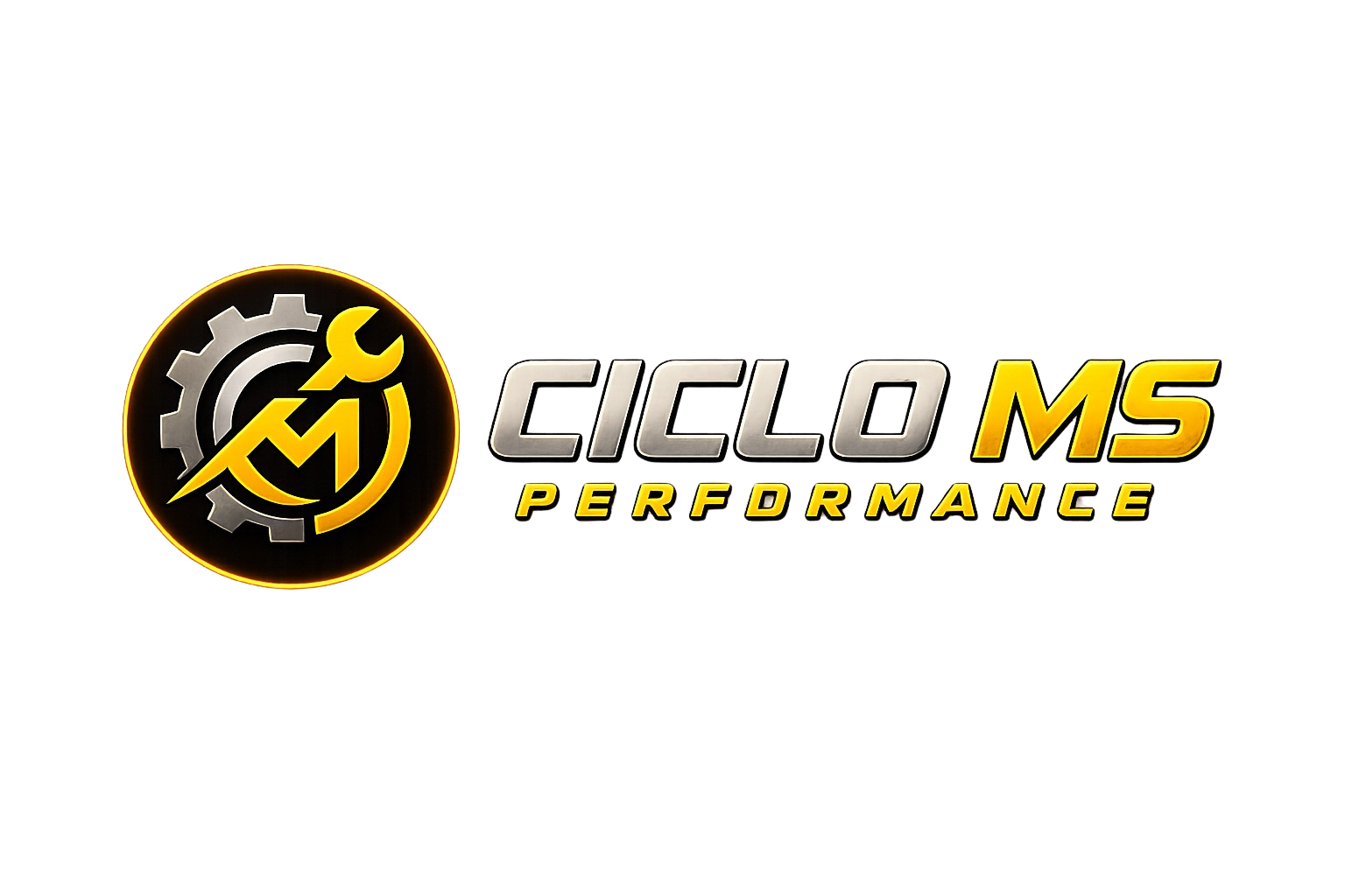 CICLO MS PERFORMANCE